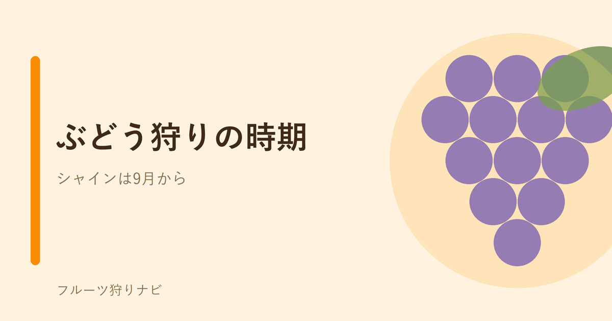 ぶどう狩りの時期のイメージ