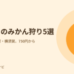 神奈川のみかん狩り。横浜・伊勢原・横須賀の5園