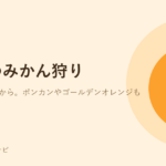 オレンジ色のみかんのイラスト。熱海のみかん狩りができる農園を紹介する記事のアイキャッチ