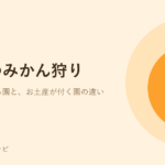 オレンジ色のみかんのイラスト。三重のみかん狩りができる農園を紹介する記事のアイキャッチ