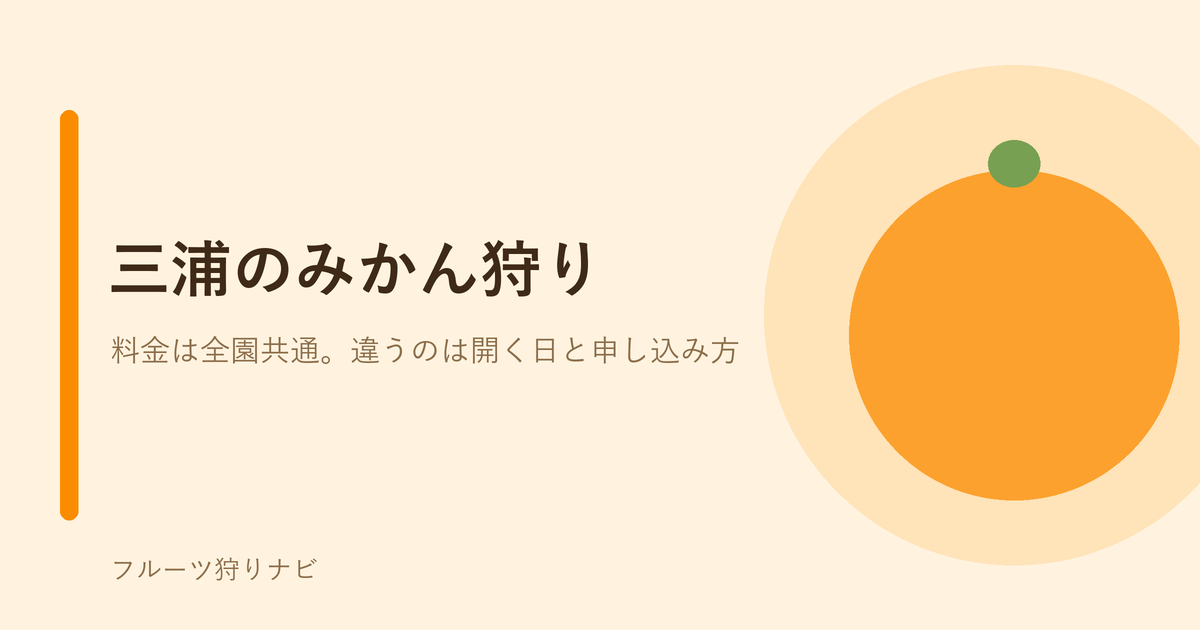 オレンジ色のみかんのイラスト。三浦のみかん狩りができる農園を紹介する記事のアイキャッチ